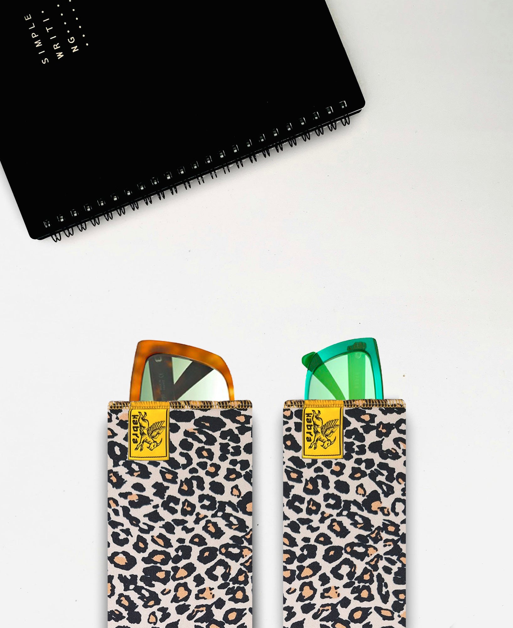 Funda Felin Dion (gafas)